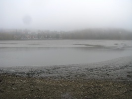 IMG 0754