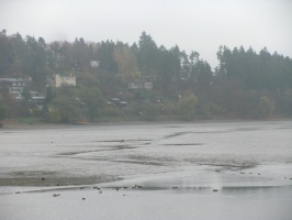 IMG 0780